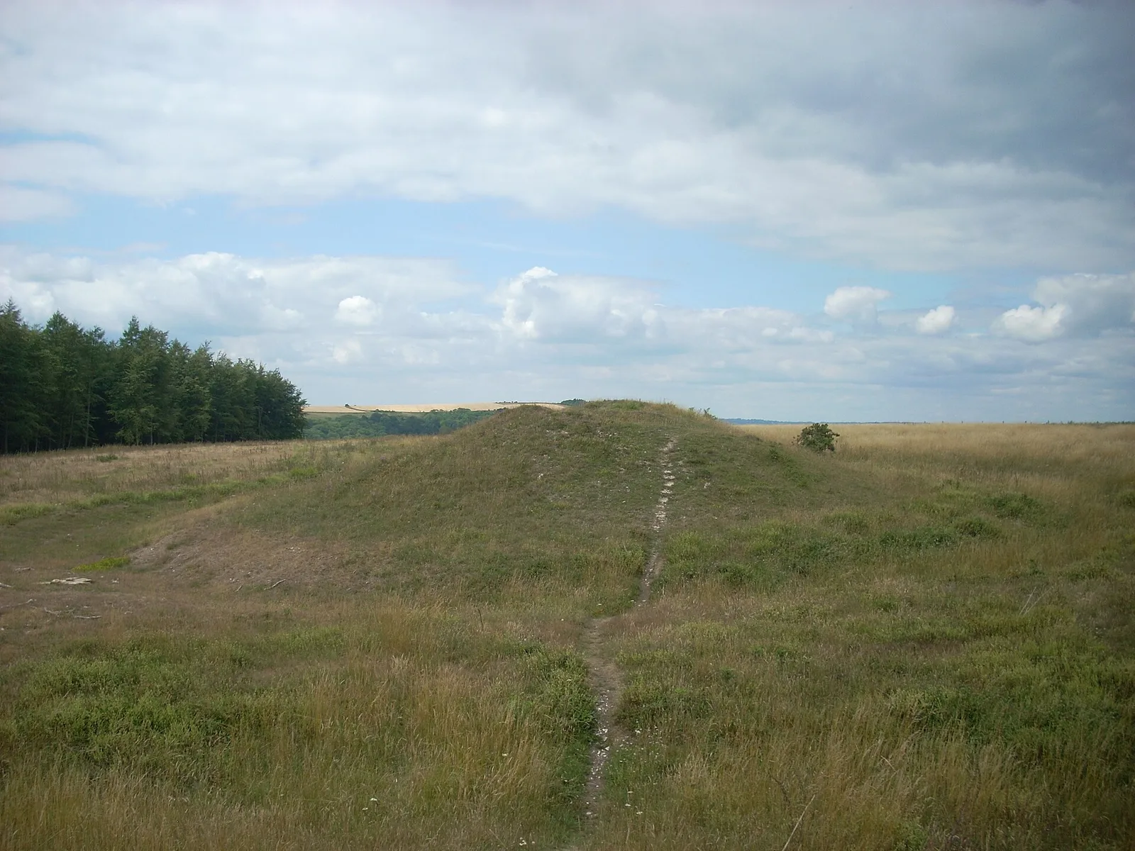 Devil's Jumps, Treyford